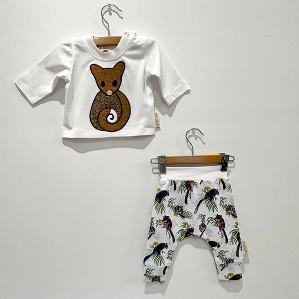 ringtail POSSUM baby leggings